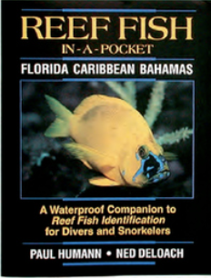 Reef Fish ID In-a-Pocket Caribbean