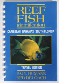Reef Fish ID Travel Edition