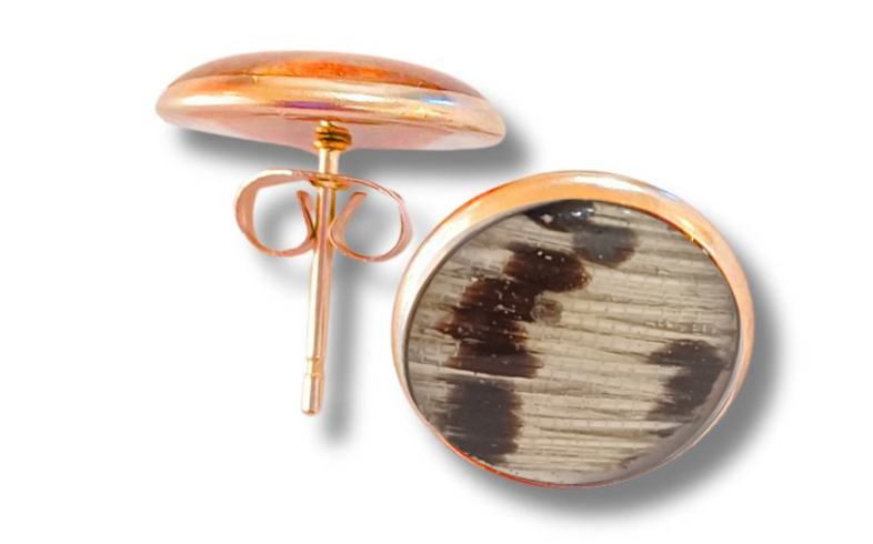 Lionfish Earrings Studs Tail